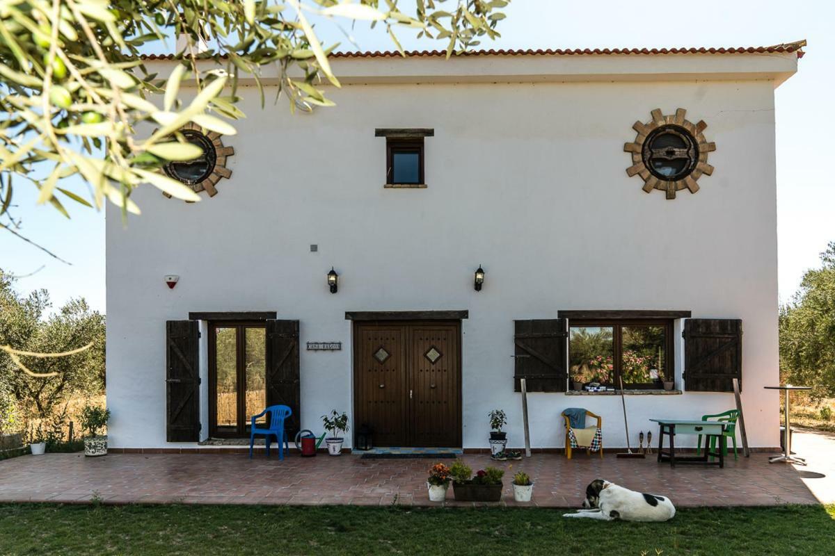 Finca Casa Halcon Almonte Extérieur photo